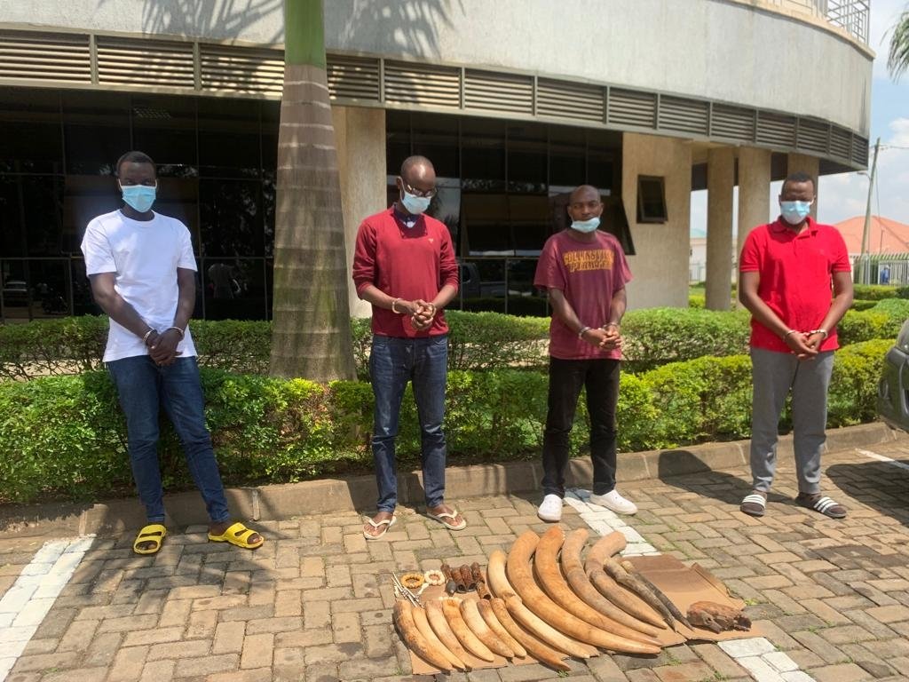 RIB yafunze abagabo bane barimo abanyamahanga bafite amahembe y'inzovu