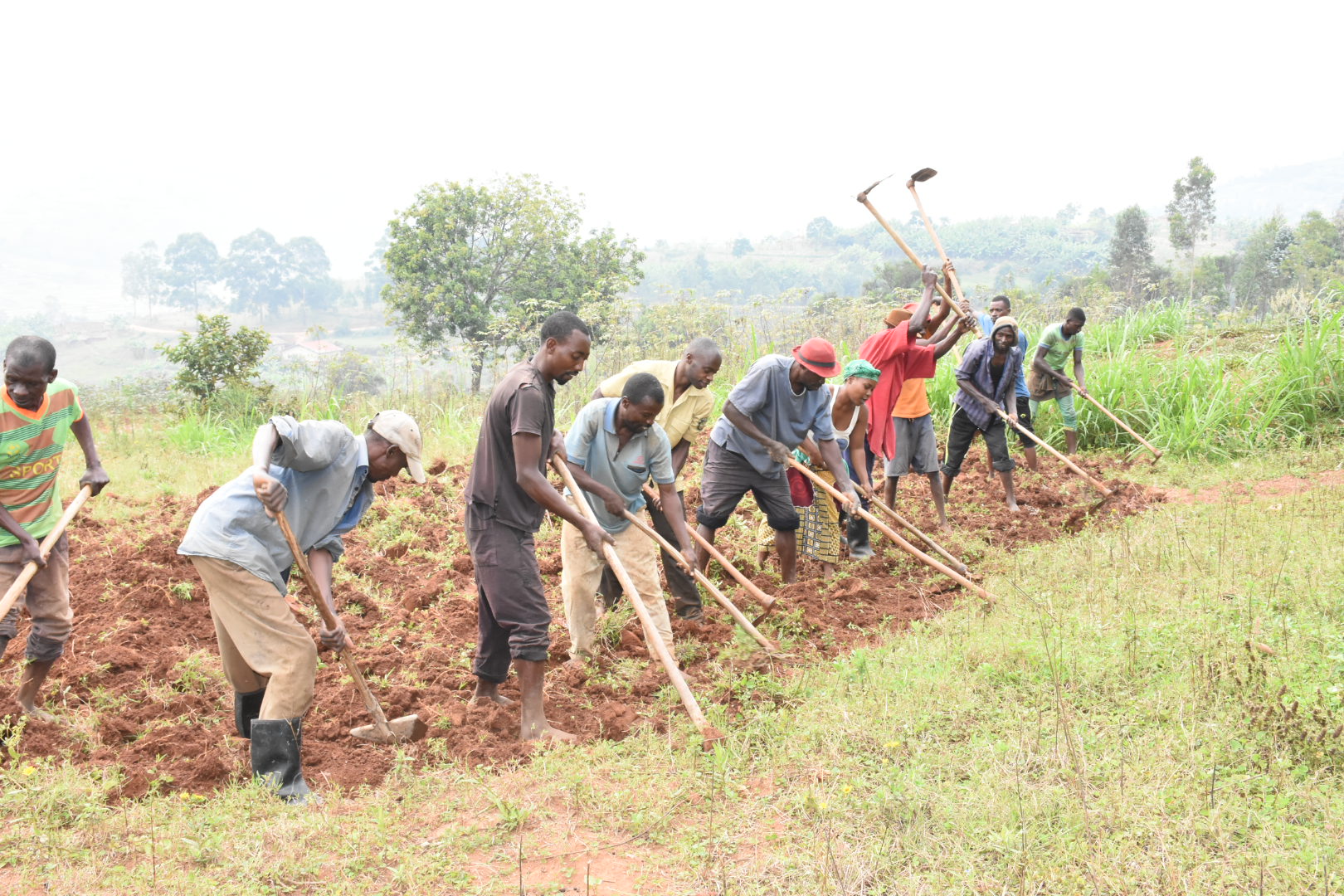Ruhango: Ubuhinzi ku isonga mu iterambere ry'abaturage