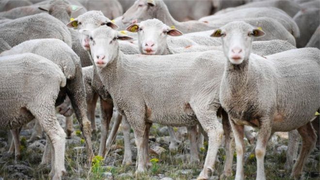 MU BUFARANSA INTAMA ZIGIYE KUJYA ZIGANA N'ABANYESHURI