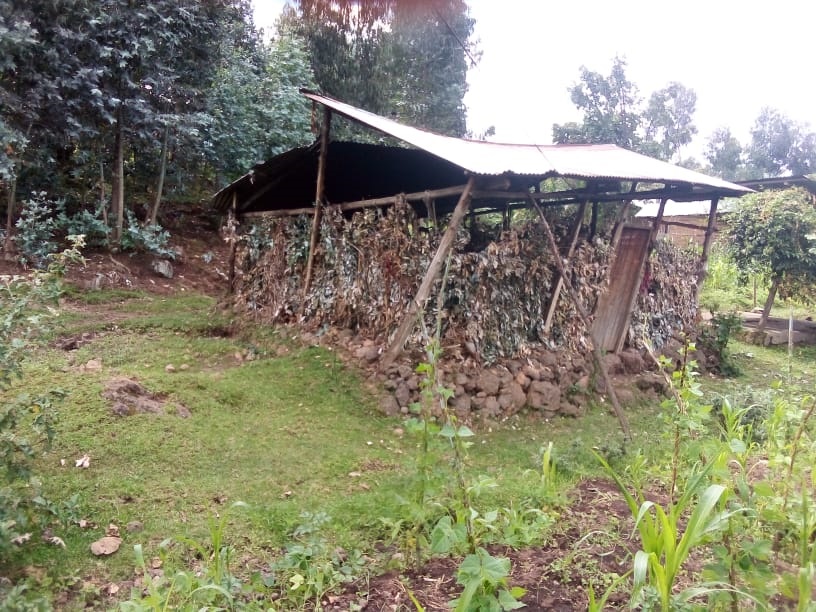 [AMAFOTO] Musanze: Hari abaturage basubiye muri nyakatsi