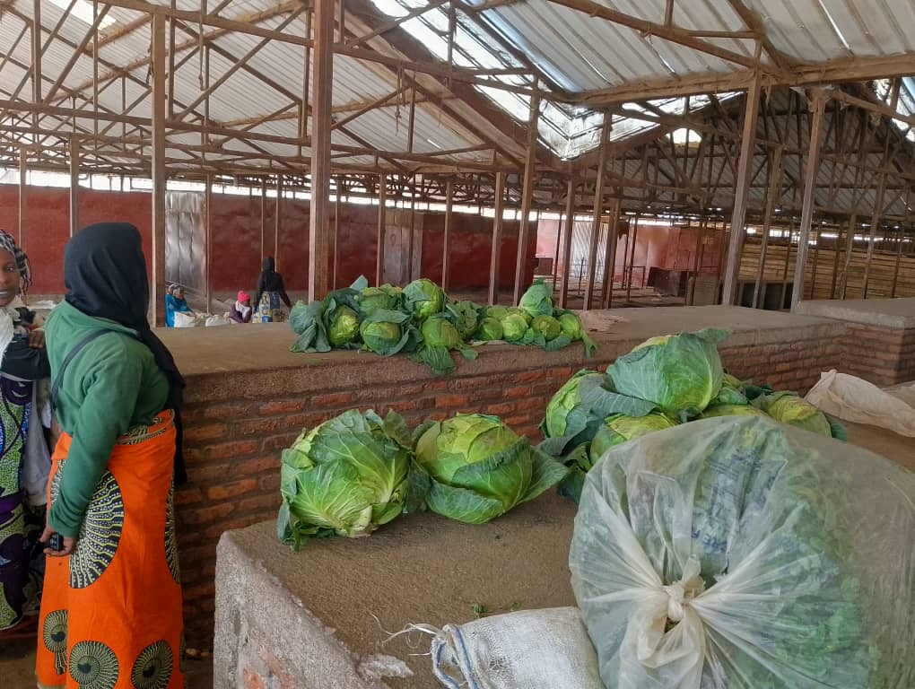 Rubavu: Amashu yahindutse ibiryo by'amatungo kubera kubura isoko 